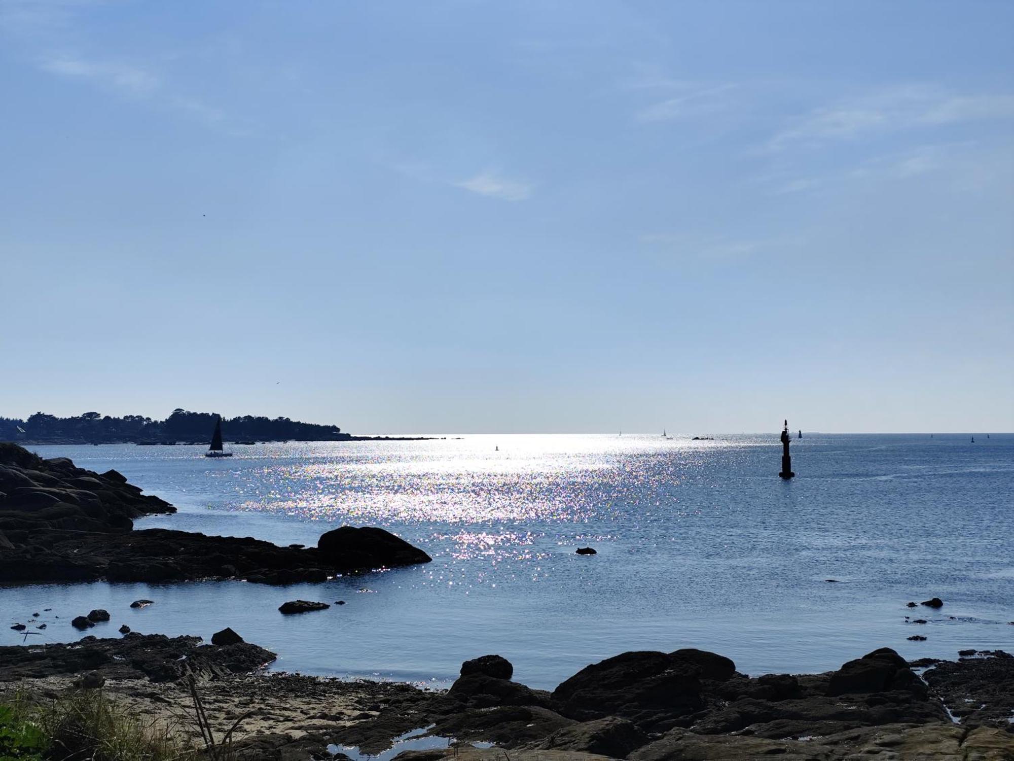 Les Reflets De Rivage Avec Garage Privatif - 350M Plage Concarneau Exterior foto